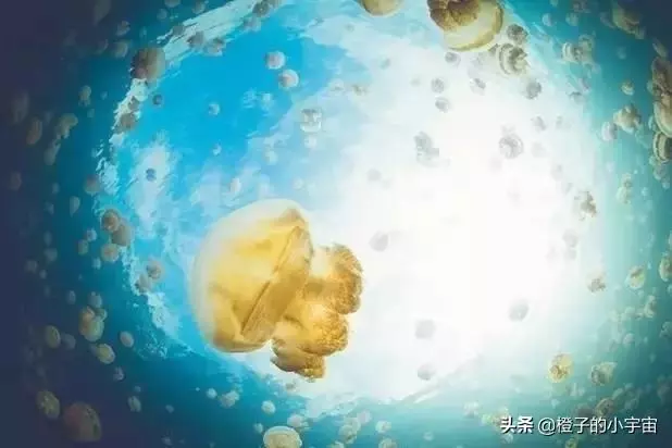 上帝的水族箱,世界七大海底奇觀之首
