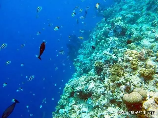 上帝的水族箱,世界七大海底奇觀之首