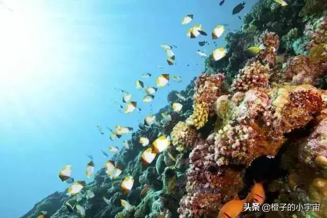 上帝的水族箱,世界七大海底奇觀之首