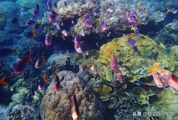 上帝的水族箱,世界七大海底奇觀之首