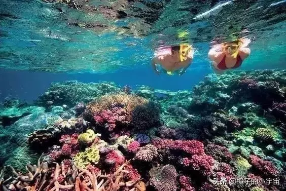 上帝的水族箱,世界七大海底奇觀之首