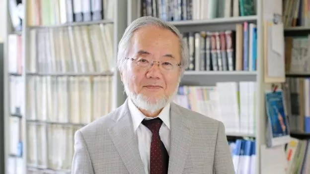諾貝爾得主發現「餓肚子」比較健康 細胞會「自己吃自己」身體變超乾淨!