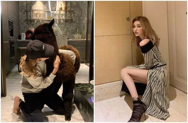 千億富少教你怎麼把妹 砸18萬送「草泥馬」讓人跪了