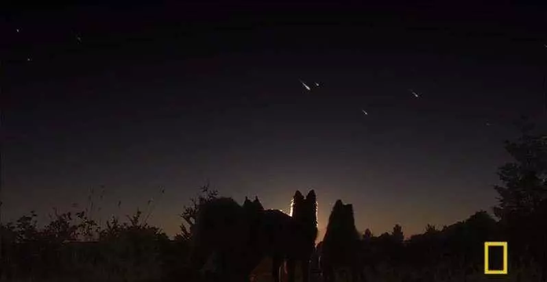 如果人類消失,地球將會怎樣?1年後開始的日子讓大家都震驚不已