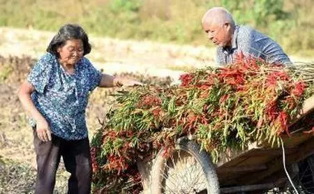 兒子買兩條魚去看母親,妻子不讓給錢,兒走後,母親去洗魚哭了