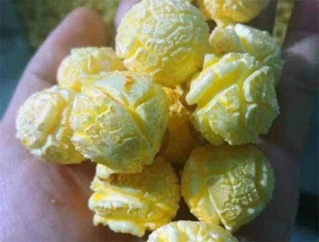 醫生忠告:別再吃此8 種食物了!寄生蟲最多,會傷害神經系統,能不吃就不吃!