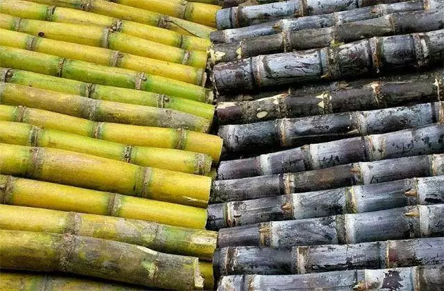 醫生忠告:別再吃此8 種食物了!寄生蟲最多,會傷害神經系統,能不吃就不吃!