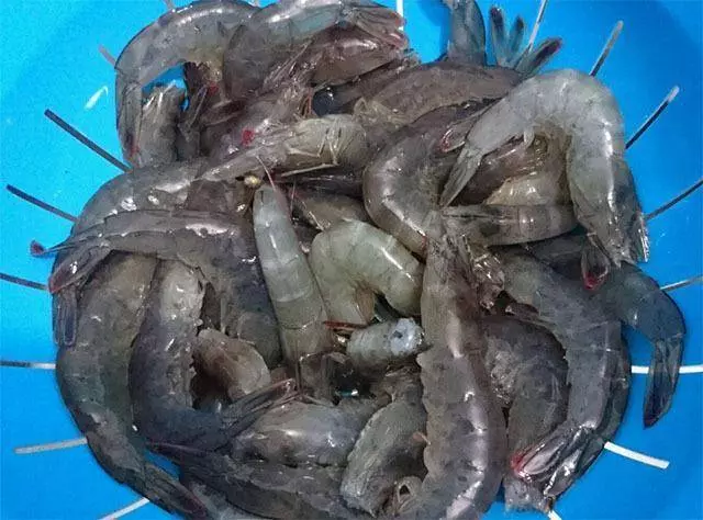 醫生忠告:別再吃此8 種食物了!寄生蟲最多,會傷害神經系統,能不吃就不吃!