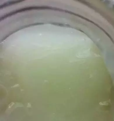 家裡有蘆薈的注意了,可別不當回事,抓緊告訴家人越早越好