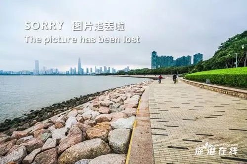 近50歲的鐘麗緹素顏曝光,嬸樣畢露,肚子大得可怕!網友:老公怎麼敢要