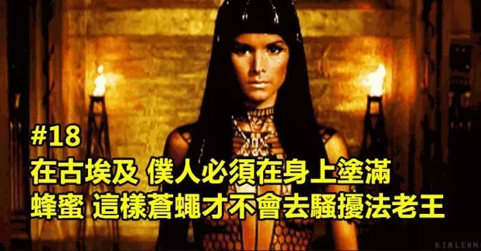 你聽完後會超想馬上忘掉的25個超驚悚冷知識!