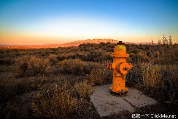 你聽完後會超想馬上忘掉的25個超驚悚冷知識!