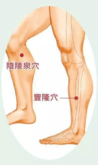 80%的「肥胖」是因為「體內濕氣」在作怪:每天「四穴道按摩法」,祛濕健脾消水腫,在家鏟肉不花錢! -