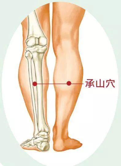 80%的「肥胖」是因為「體內濕氣」在作怪:每天「四穴道按摩法」,祛濕健脾消水腫,在家鏟肉不花錢! -