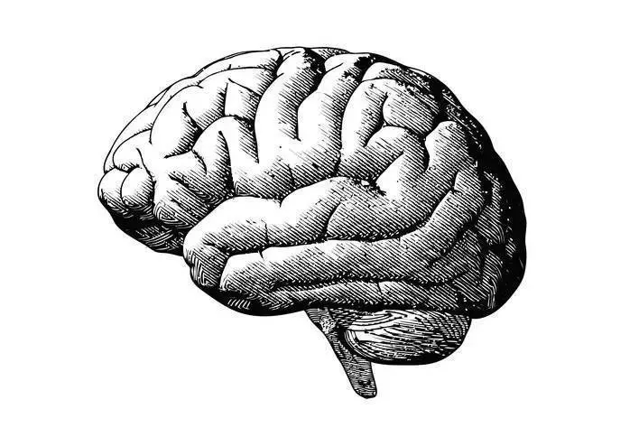 乍聽很扯但卻真到不能再真的20個驚奇科學事實!
