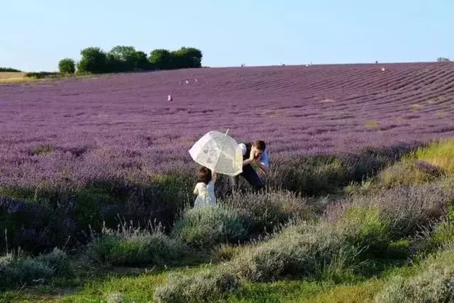 只知道倫敦愛丁堡?這些英國小眾寶藏景點收好了!