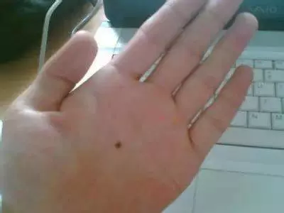 快低頭確認,手指併攏有幾個洞,看出你一生財運!