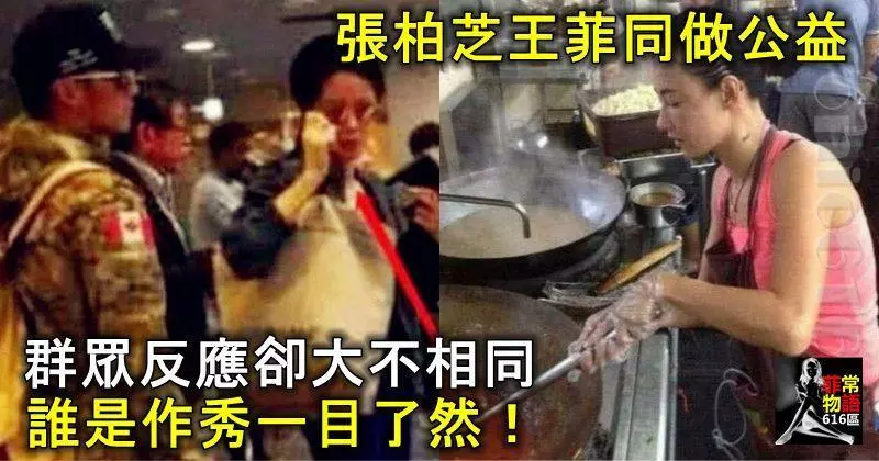 張柏芝王菲同做公益,群眾反應卻大不相同,誰是作秀一目了然!
