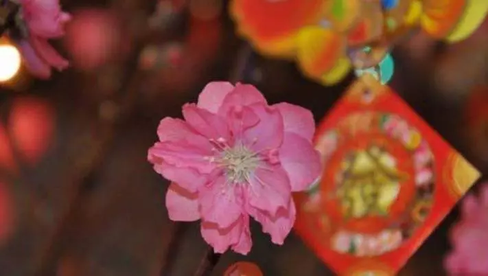3月25號開始,橫財擋不住,5大生肖有財神爺指路,賺得盆滿缽滿!