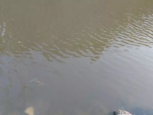 湖水消失湖底出現寶藏,村民們紛紛搶寶藏,忽然出現很多大蛇。湖底的慘叫聲不絕於耳。
