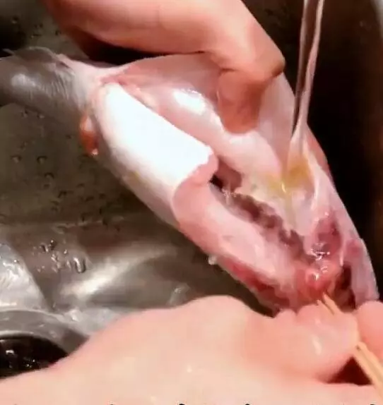 豬肉千萬別用清水洗,不然越洗越髒!教你小方法,乾淨還去腥!