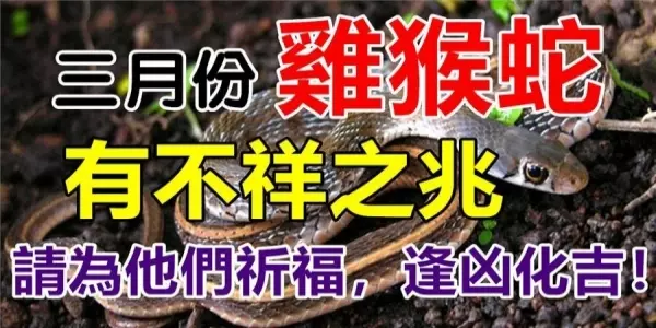 三月份屬雞猴蛇要小心,有不祥之兆請為他們祈福,逢凶化吉!