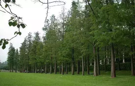 家裡到底是鋪木地板,還是瓷磚?現在才知道不會遲