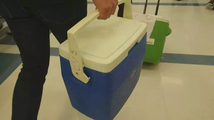 24歲女消防員大愛器捐,警車開道一路飆速120公里,穿雪隧半小時直送台北