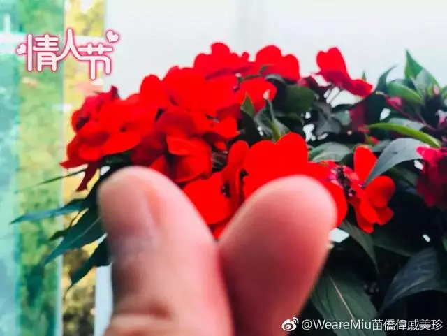 61歲苗僑偉帥過黃宗澤:比起「不老男神」,我更想當「寵妻狂魔」