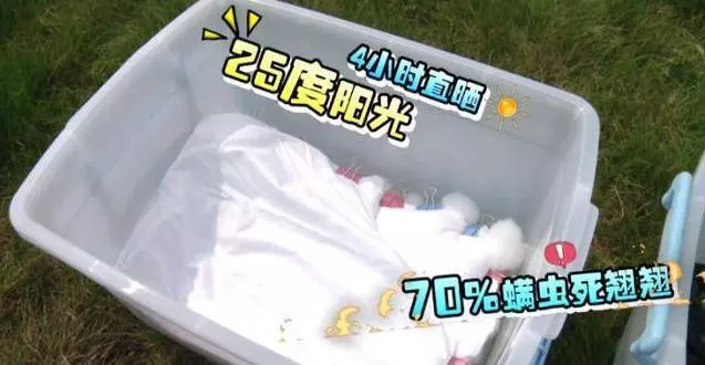床上的蟎蟲,沒太陽曬怎麼辦?教你一招,不用曬就能消滅蟎蟲,方法簡單還省錢!!