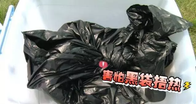 床上的蟎蟲,沒太陽曬怎麼辦?教你一招,不用曬就能消滅蟎蟲,方法簡單還省錢!!
