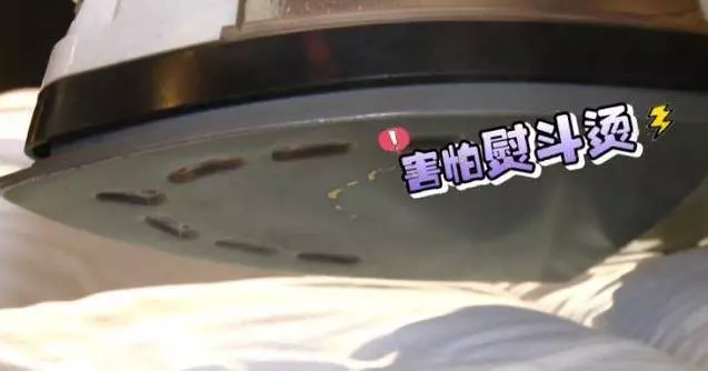 床上的蟎蟲,沒太陽曬怎麼辦?教你一招,不用曬就能消滅蟎蟲,方法簡單還省錢!!