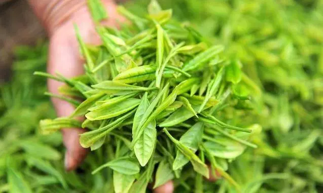 床上的蟎蟲,沒太陽曬怎麼辦?教你一招,不用曬就能消滅蟎蟲,方法簡單還省錢!!