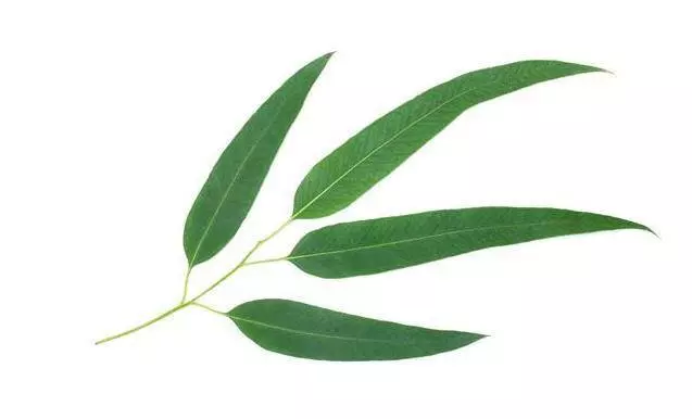 床上的蟎蟲,沒太陽曬怎麼辦?教你一招,不用曬就能消滅蟎蟲,方法簡單還省錢!!