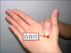 最實用的保健穴位,經常按壓讓您精神煥發!