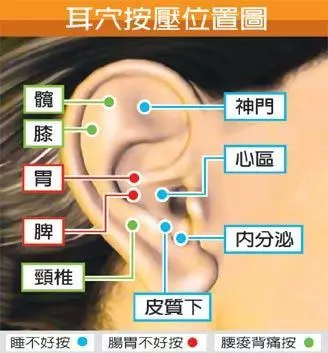 最實用的保健穴位,經常按壓讓您精神煥發!