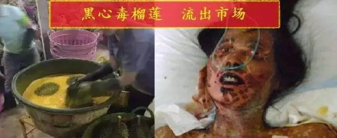黑心毒榴槤流入市場,遇到這種外形的榴槤千萬不要買~已經有人中毒了!!!