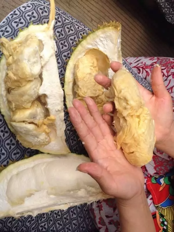 黑心毒榴槤流入市場,遇到這種外形的榴槤千萬不要買~已經有人中毒了!!!