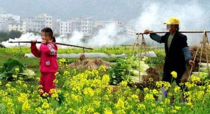 故事:女兒患怪病,還被白狐咬了一口,母親氣得大罵,路過道士:恭喜