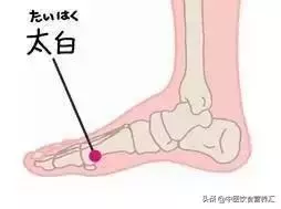 艾灸十大補血養生穴,解決女性衰老根本問題!