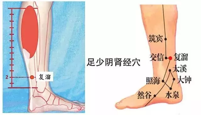 這幾個穴位,是人體的「天然藥房」