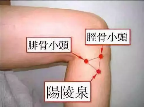 這幾個穴位,是人體的「天然藥房」
