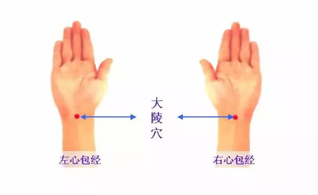 這幾個穴位,是人體的「天然藥房」