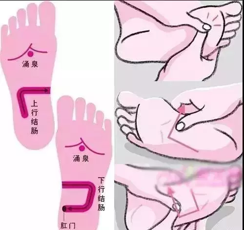 按摩腳底能護眼消脹氣!這些「腳底反射區」你用得上