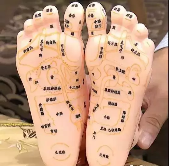按摩腳底能護眼消脹氣!這些「腳底反射區」你用得上