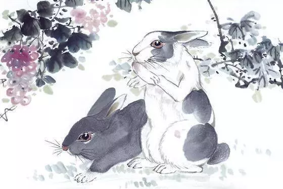 八方來財,十方富貴的七大生肖【天生富貴命】