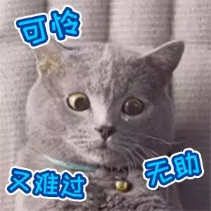 鏟屎官偷拍貓咪奇葩睡姿,貓咪:鏟屎的你是魔鬼嘛!