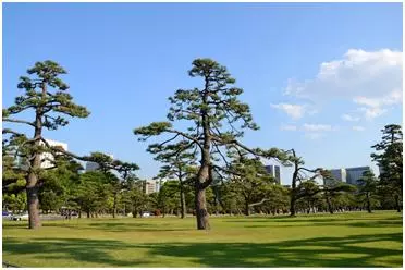 日本必去十大景點排名,去日本必看