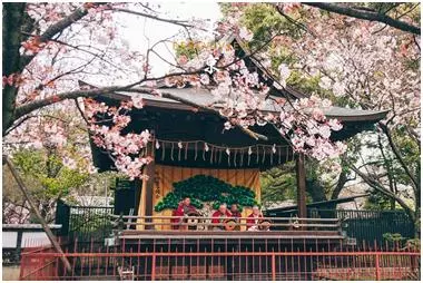 日本必去十大景點排名,去日本必看