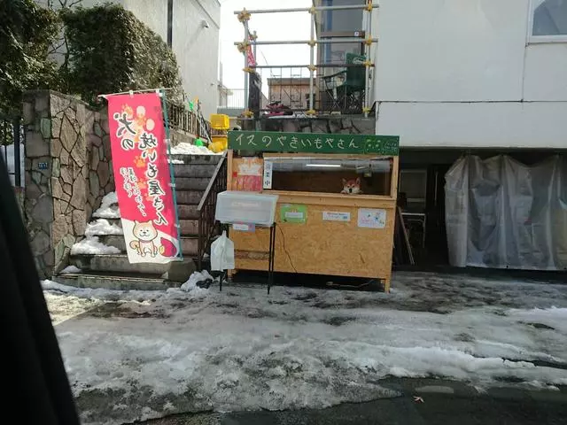 "我是狗狗不會找錢",柴犬幫主人賣地瓜,賣出去還要通報主人